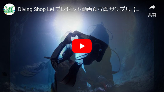 Diving Shop Lei プレゼント動画＆写真 サンプル