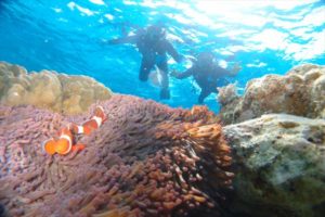 ４月５日ノリさんとナリさんの珊瑚礁シュノーケル