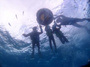 クマノミ体験ダイビング　クマノミシュノーケル　2014年7月30日のお客様