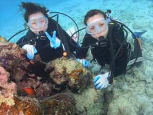 沖縄　クマノミ体験ダイビング　珊瑚礁シュノーケル　2014年10月8日のお客様