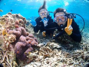 沖縄で珊瑚とダイビング