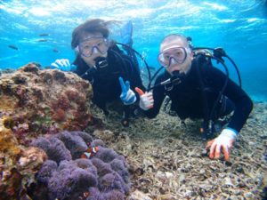 2014年12月29日のお客様　クマノミ体験ダイビング　珊瑚礁シュノーケル