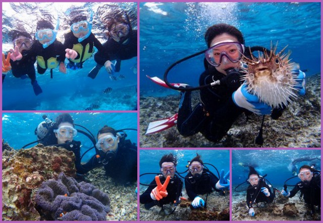 2015年1月18日のお客様　クマノミ体験ダイビング　珊瑚礁シュノーケル