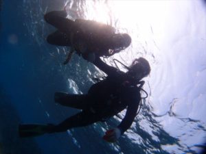 2015年1月22日のお客様　沖縄　クマノミ体験ダイビング