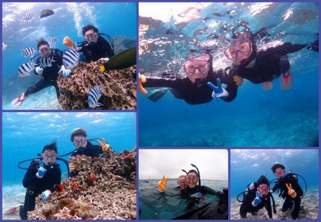 2015年2月27日のお客様　クマノミ体験ダイビング　珊瑚礁シュノーケル