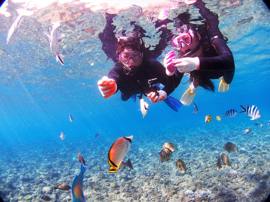 沖縄 青の洞窟シュノーケルツアー　人気 No.3　綺麗なサンゴと魚と一緒に記念撮影