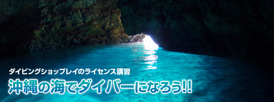 沖縄の海でダイバーになろう！！